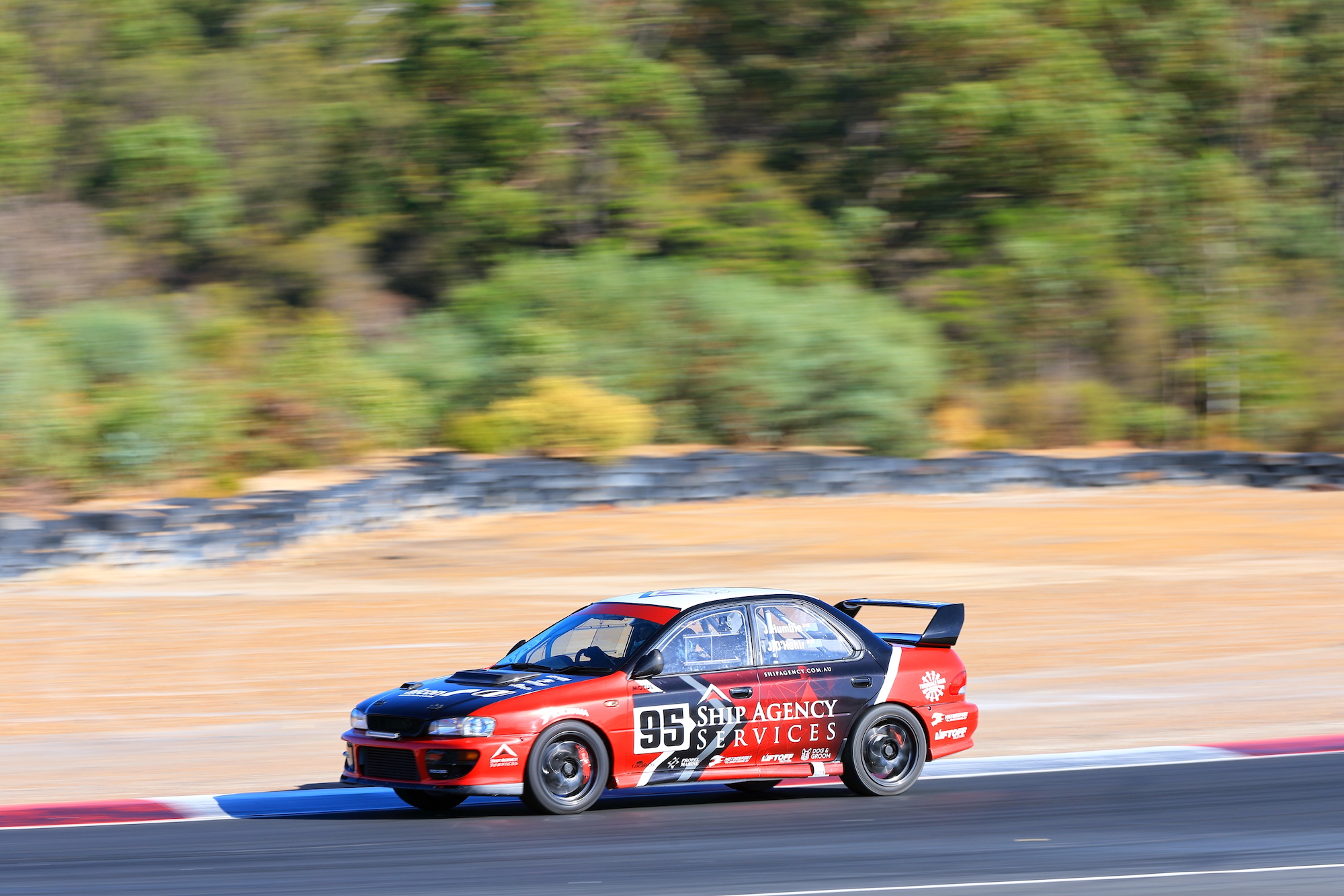 240410_Collie2 240410_Collie2