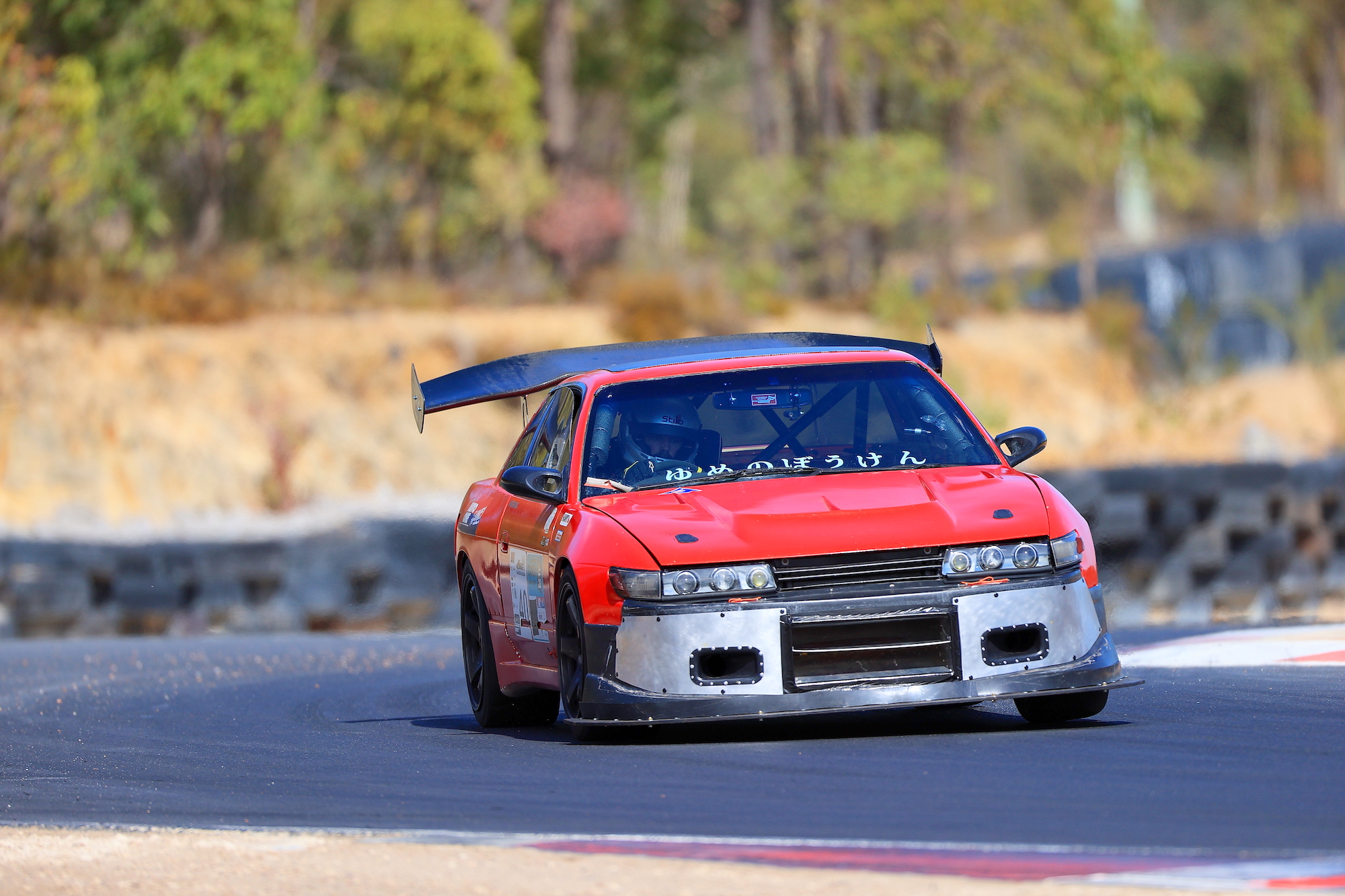 240410_Collie3 240410_Collie3